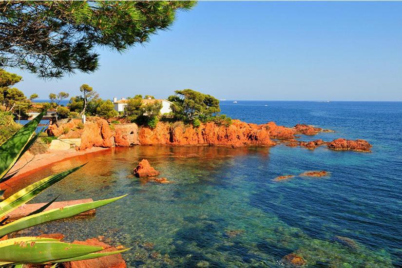 La Bastide Saint Pierre T2 - Jardin Apartment Roquebrune-sur Argens Ngoại thất bức ảnh